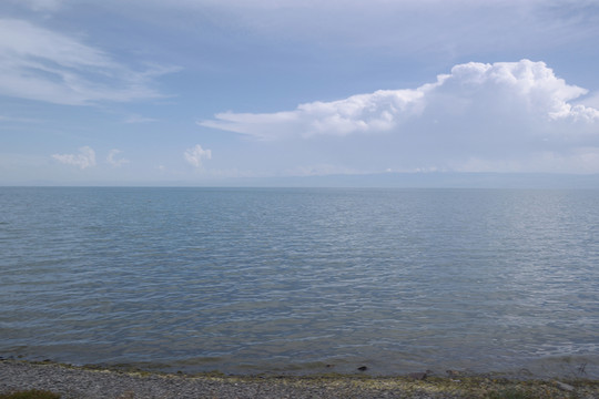 青海湖 鳥島