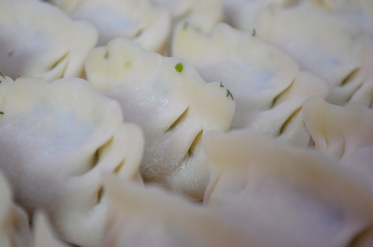 餃子