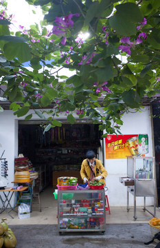 村鎮(zhèn)街景