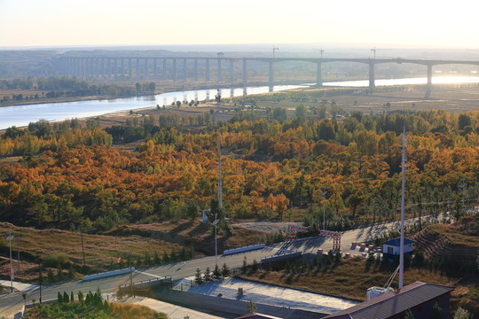 黃河大橋