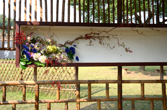 菊花展