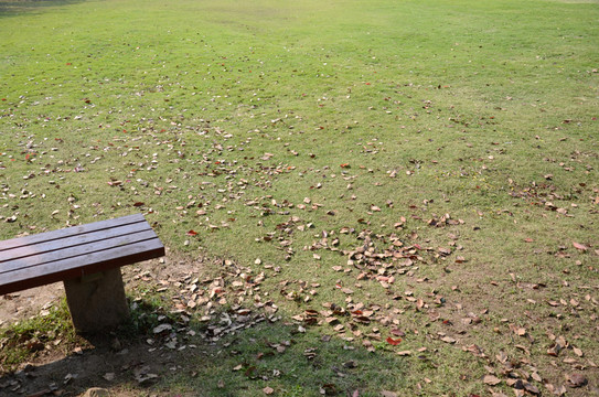 公園