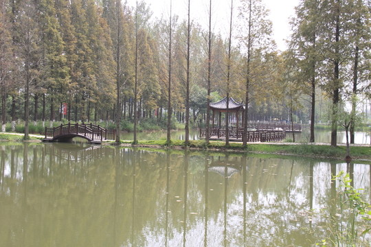 大圩風光