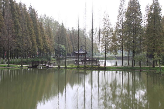 大圩風(fēng)光