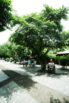 雷瓊火山地質(zhì)公園 海南風(fēng)光