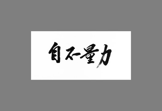 自不量力