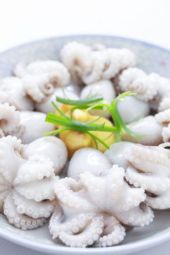 小八爪魚