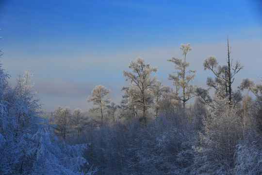 霧凇雪景