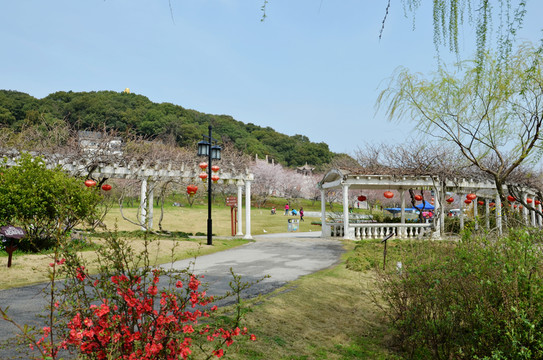 公園春色