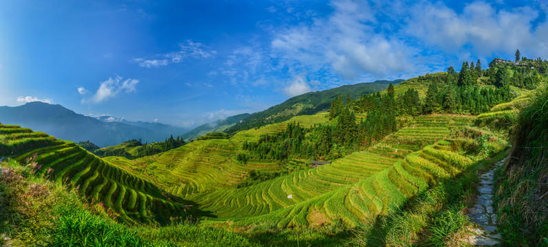 寬幅梯田拼接風景