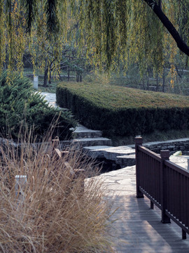 公園一隅 海淀公園