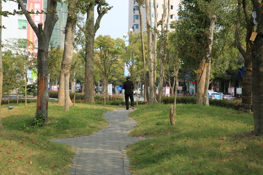 城市公園