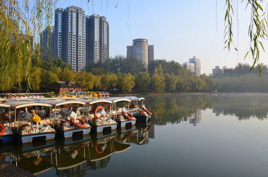 興慶湖秋色
