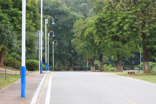 公園的路