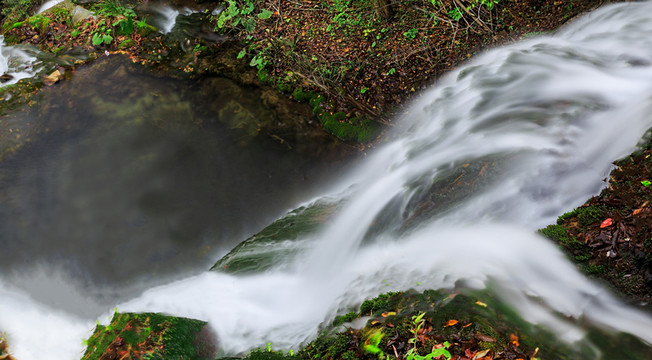 水