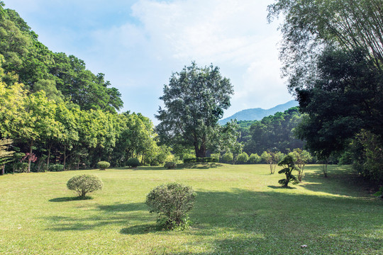 仙湖植物園