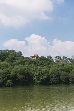 仙湖植物園
