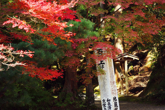 日本京都神護(hù)寺石碑