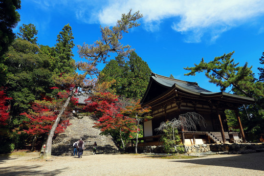 日本京都神護寺殿堂