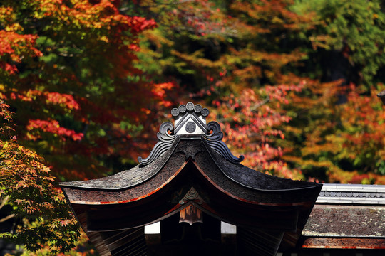 京都神護寺建筑屋檐雕花