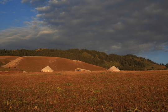 草原蒙古包