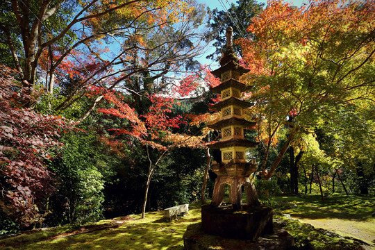 日本京都西明寺佛塔