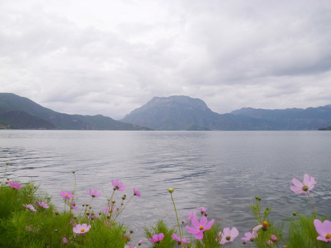 瀘沽湖