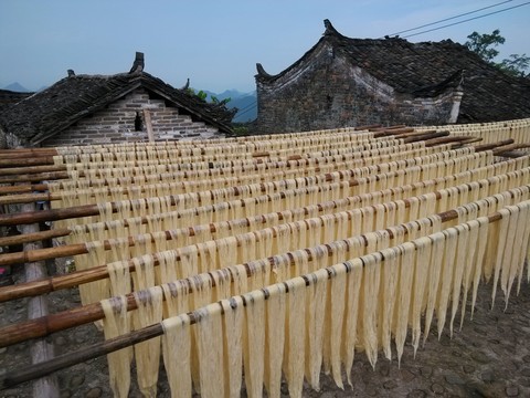 曬支竹