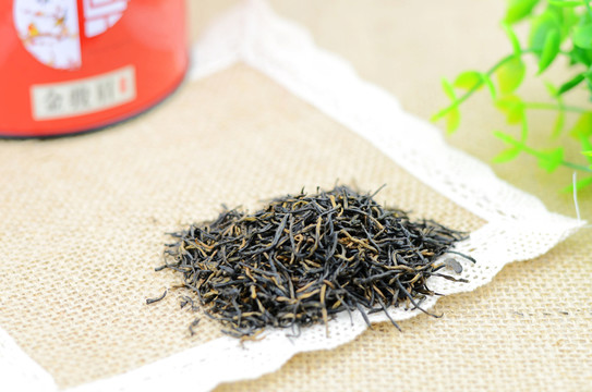 金駿眉 茶葉