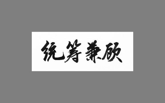 統(tǒng)籌兼顧