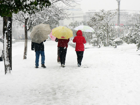 雪中行人