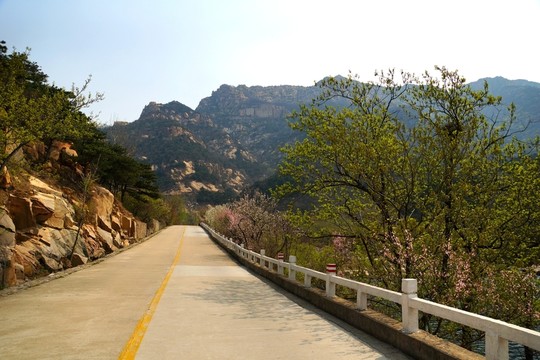 泰山風(fēng)光 泰山桃花峪風(fēng)光