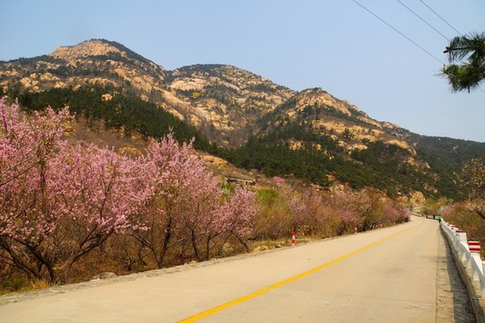 泰山桃花峪風(fēng)光