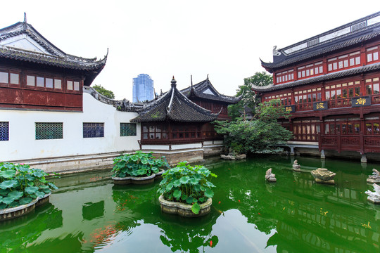 上海豫園商城園林景觀荷花池