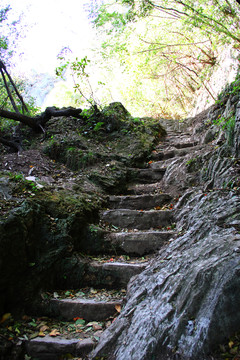 石頭路