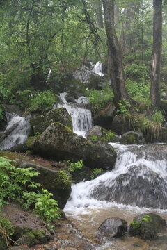 山泉 溪水 小溪