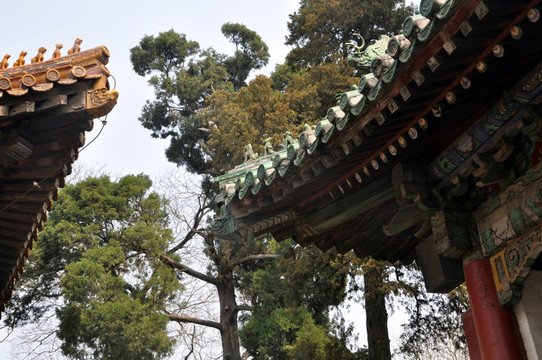 古建筑一角