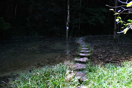 公園漫步