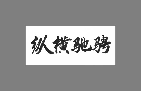 縱橫馳騁