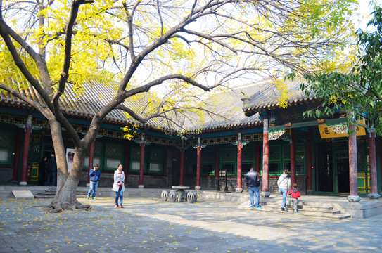沈陽大帥府