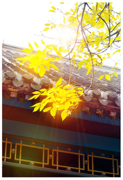 沈陽大帥府