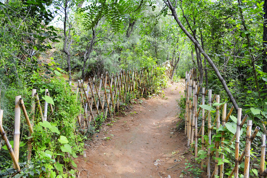 農(nóng)村小路