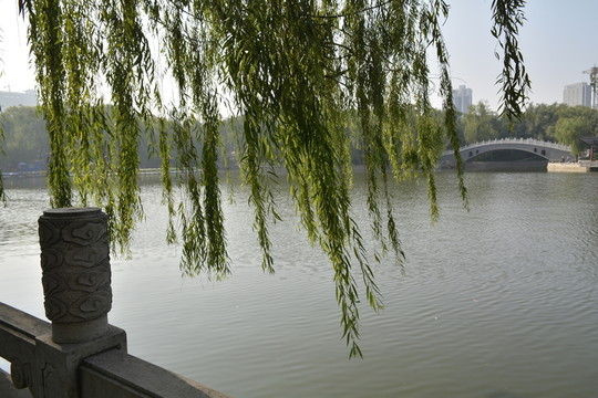 公園