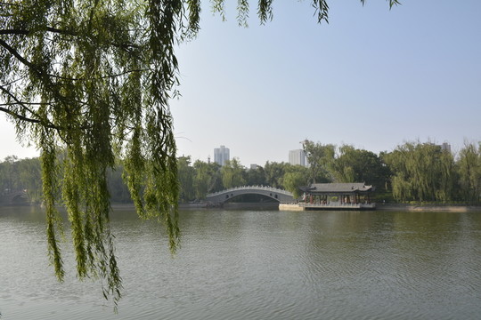 公園