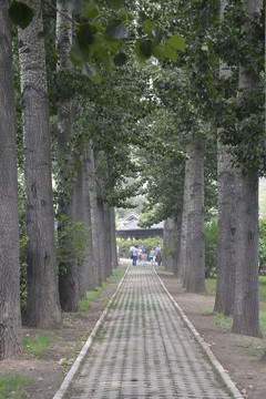 道路