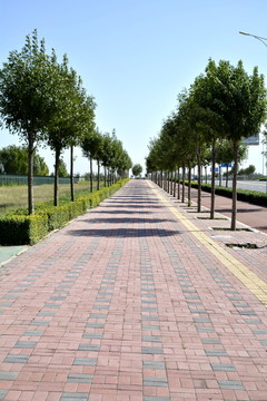道路