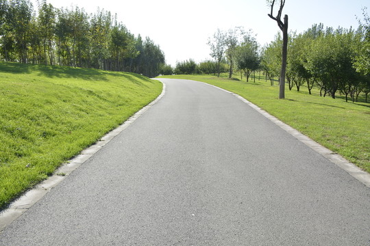 道路