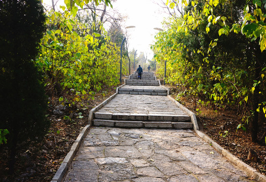 公園石板路