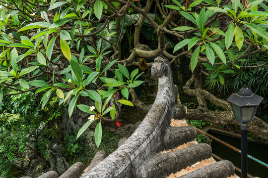 古典園林