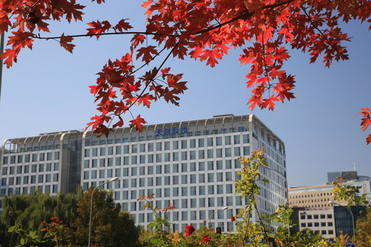 紅葉